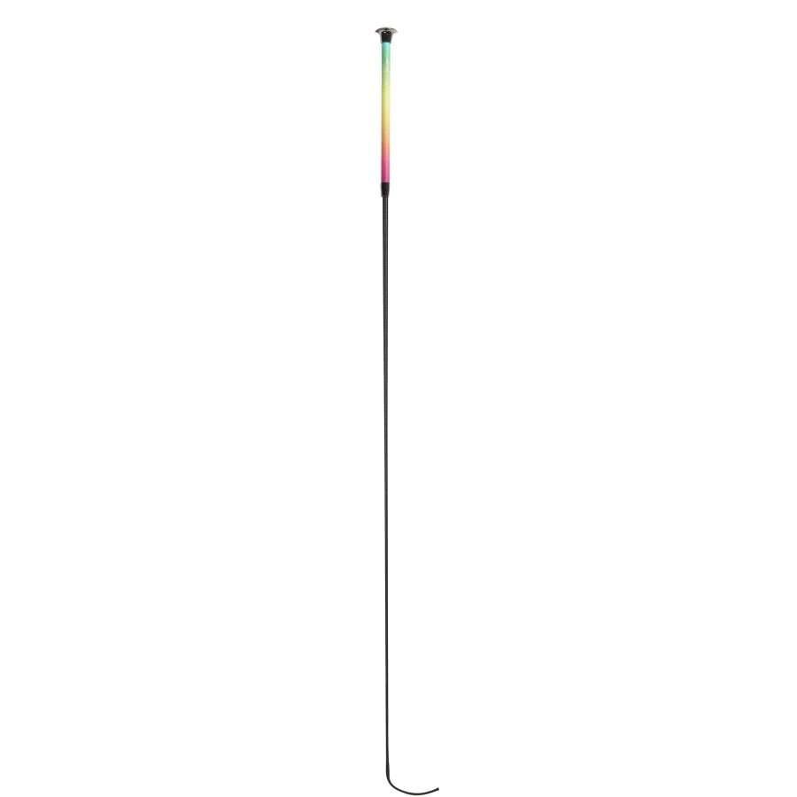 Dublin Ombre Rainbow Dressage Whip