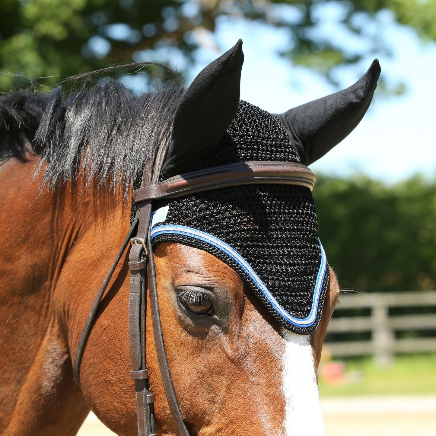 KM Elite Fly Veil Black with Electric Blue Trim