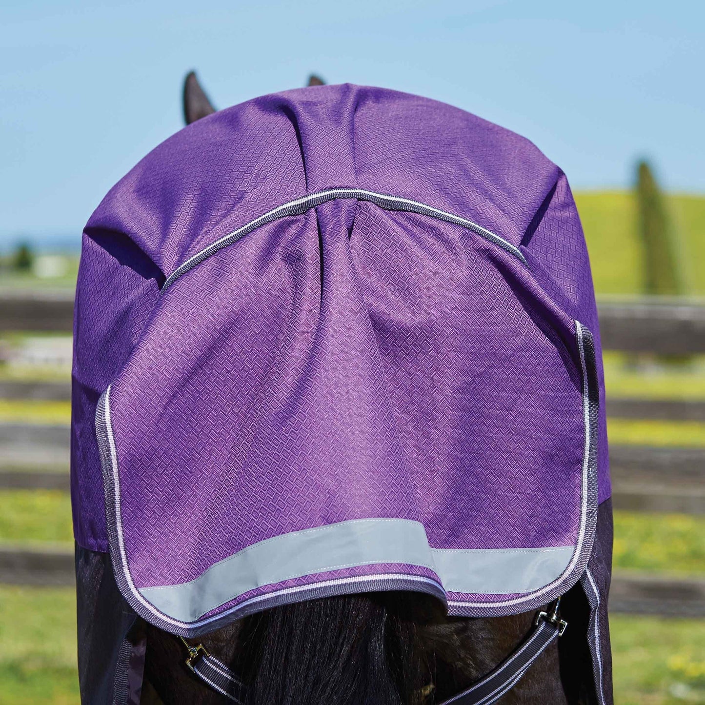 Weatherbeeta ComfiTec Plus Dynamic Standard Neck Medium (220g)