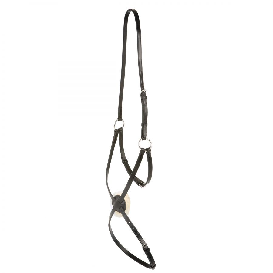 Collegiate Grackle Noseband