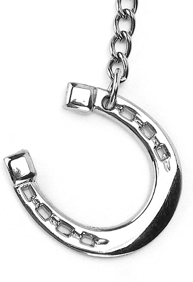 Horse Shoe Key Ring