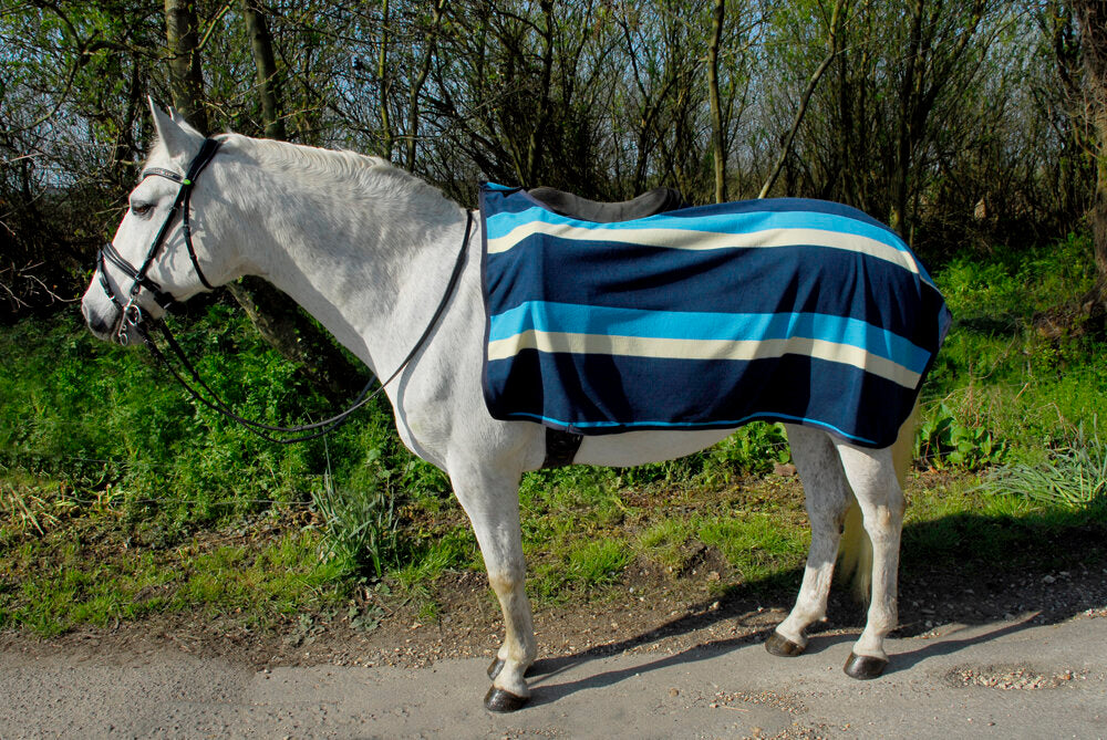 3/4 Ride-On Fleece Exercise Sheet - Blue & Beige