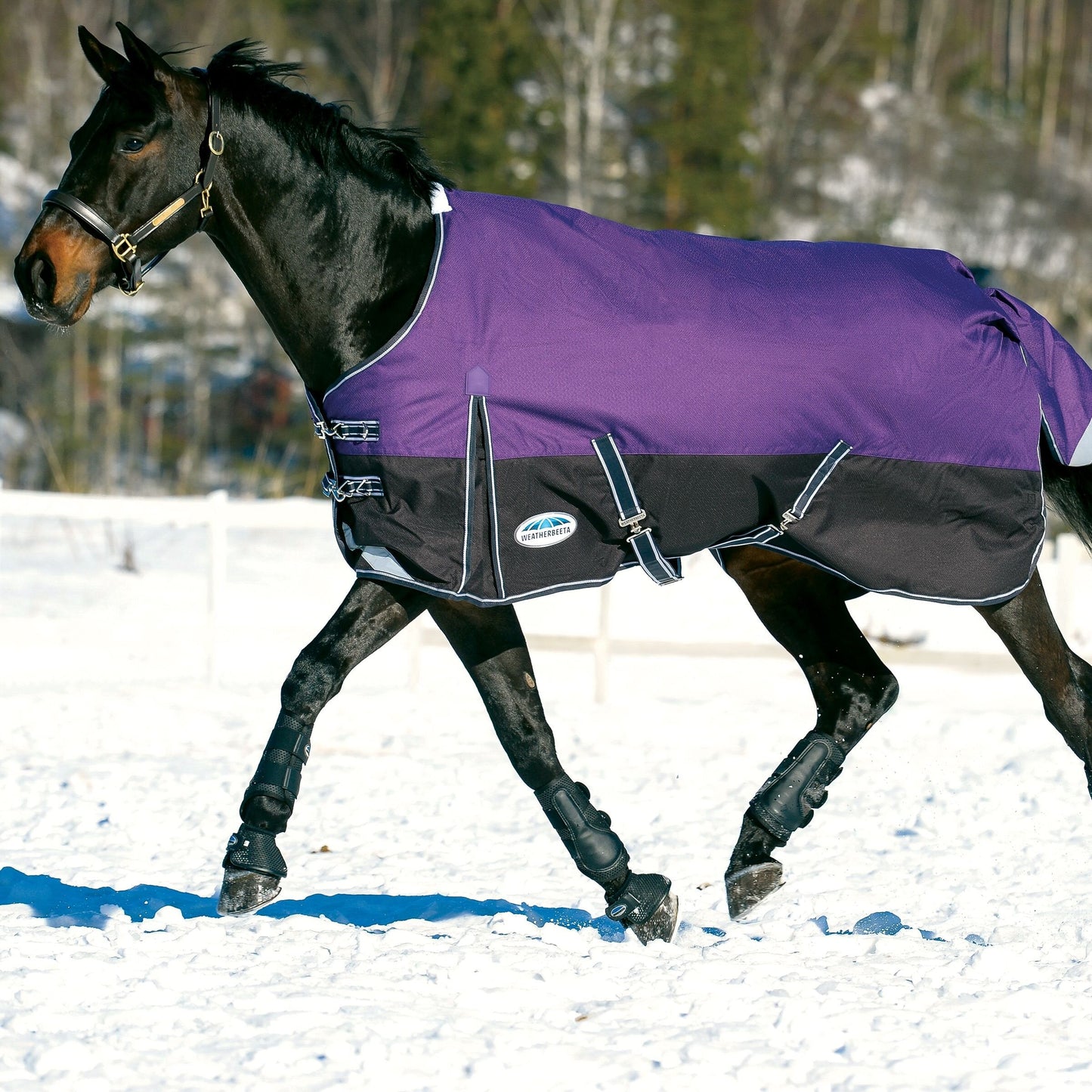 Weatherbeeta ComfiTec Plus Dynamic Standard Neck Medium (220g)