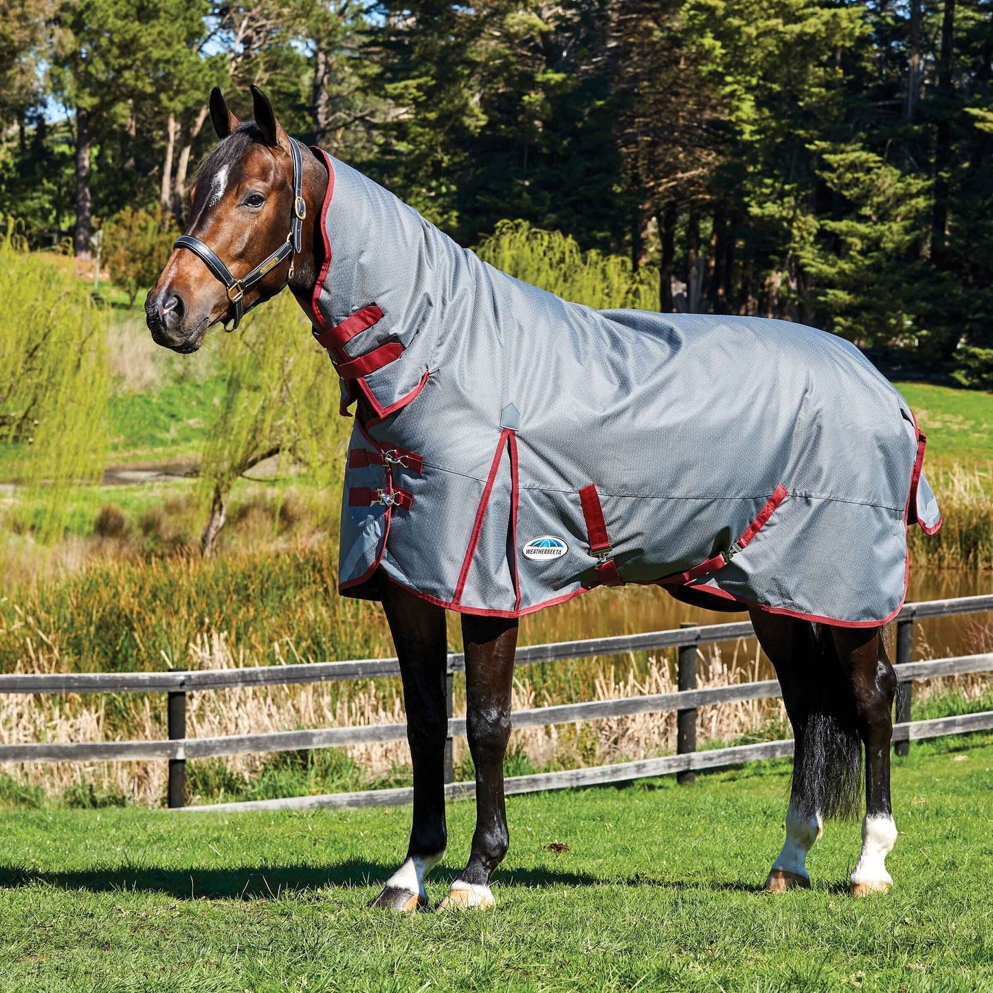 Weatherbeeta ComfiTec Plus Dynamic Combo Neck (360g)