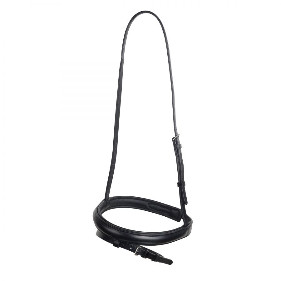 Collegiate Flash Nose Band IV