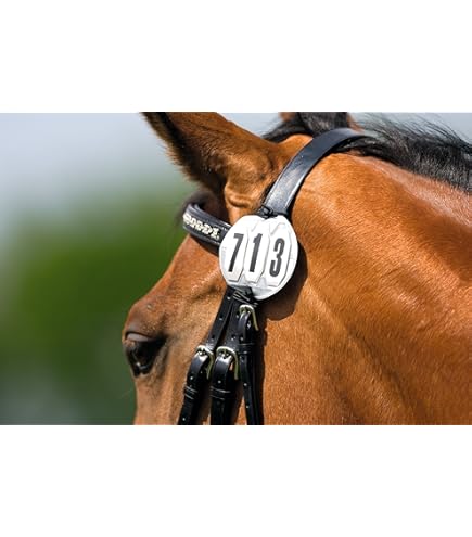 Bridle Numbers