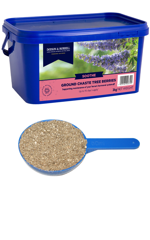 Dodson & Horrell Ground Chaste Tree Berries - 2kg