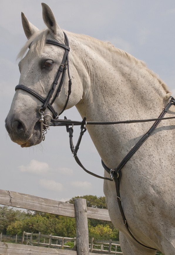 'Elegance' Stitched Breastplate