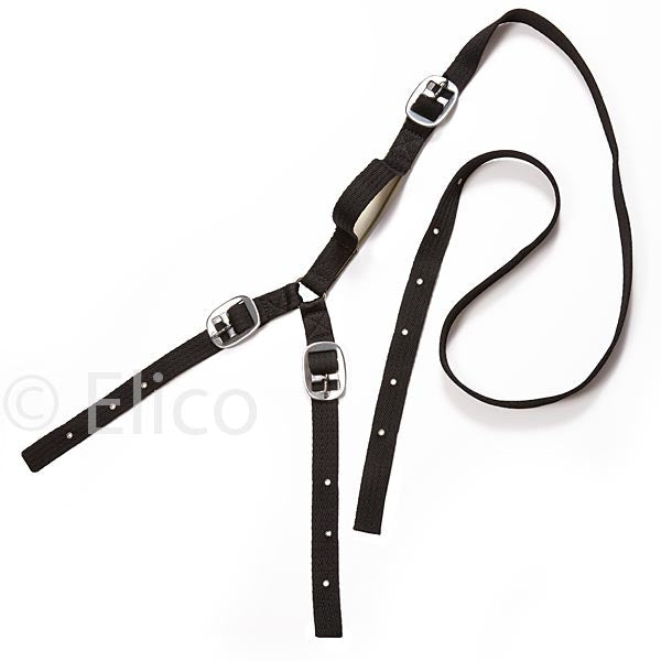 Daisy Reins
