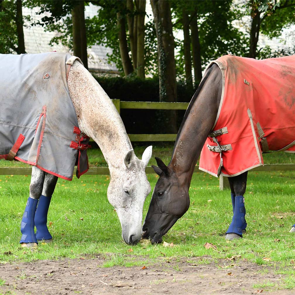 Equilibrium Equi-Chaps Hardy Turnout Boots
