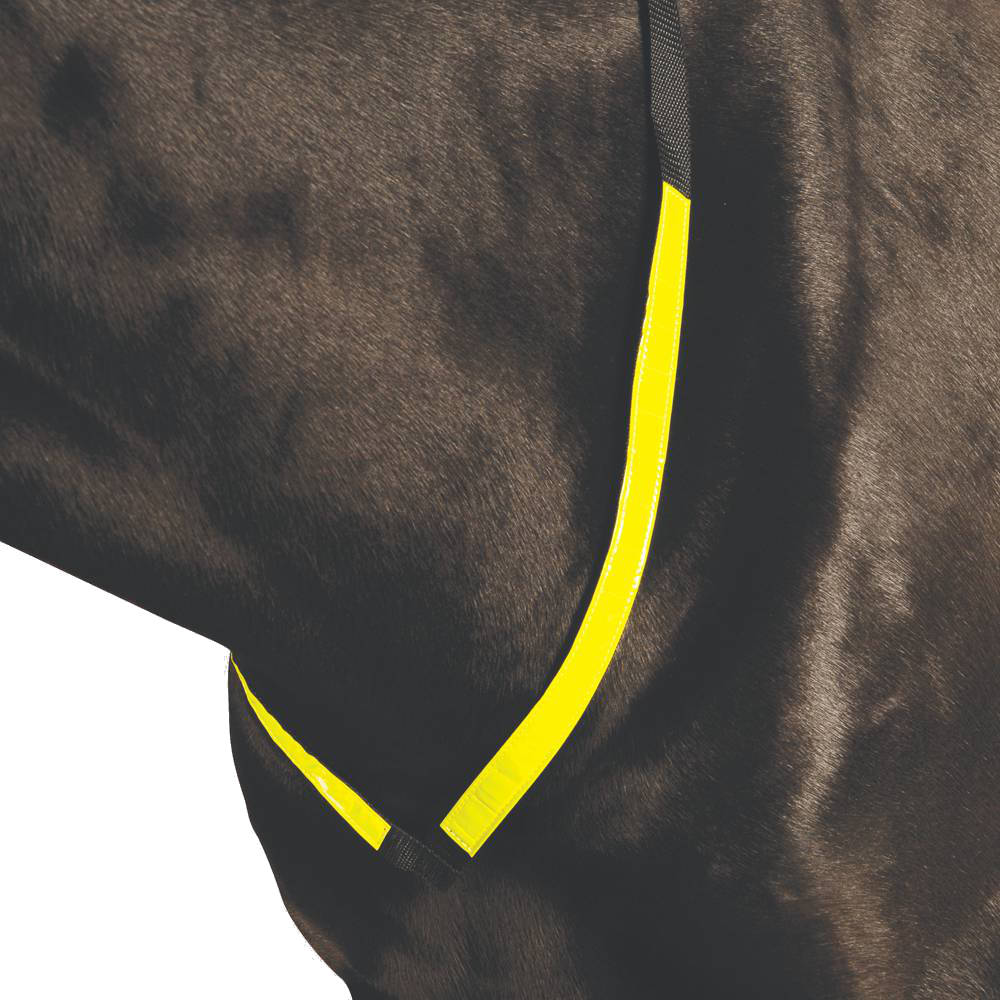 Roma Reflective Breastplate