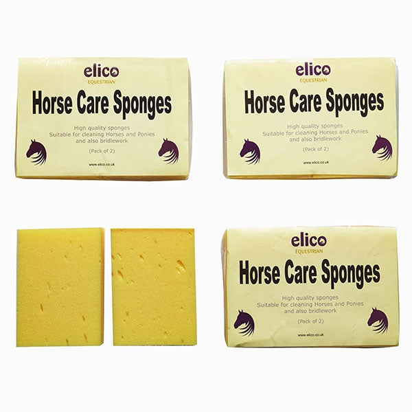Twin Pack Sponge
