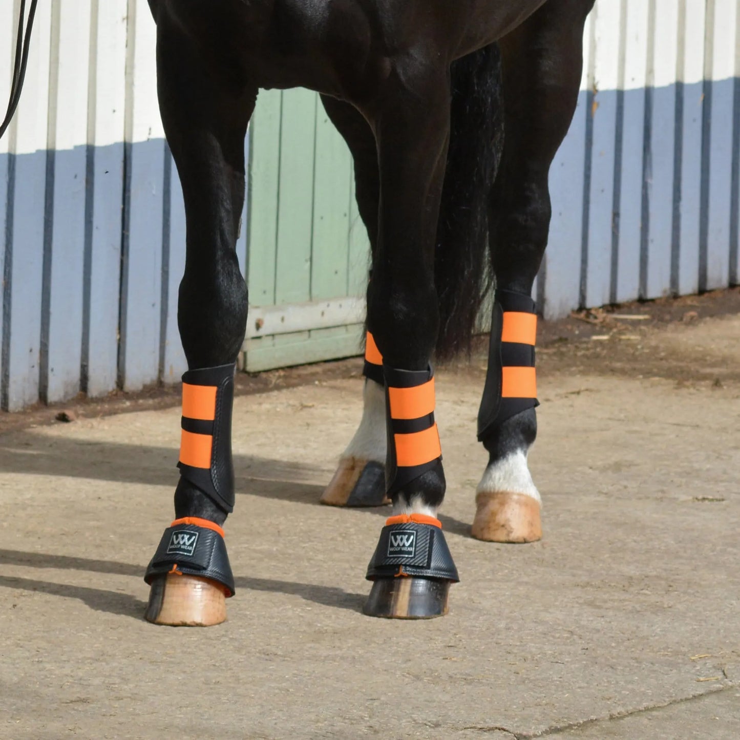 Woof Wear Club Brushing Boots
