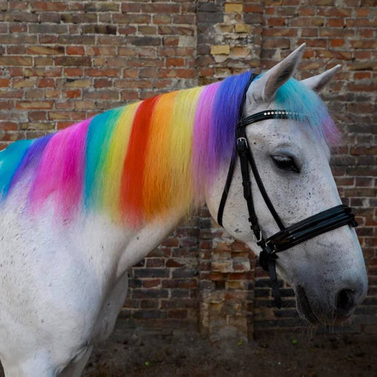 24 Pack Hair Chalk
