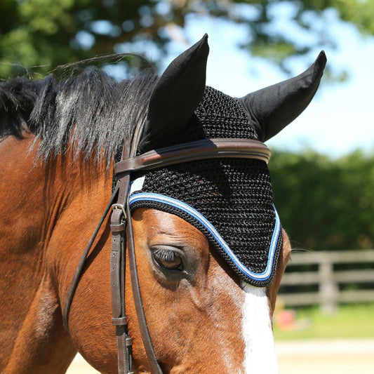 KM Elite Fly Veil Black with Electric Blue Trim