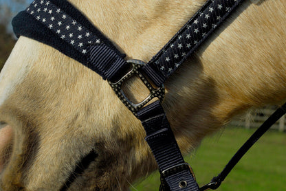 Star Spangled Headcollar & Lead Rope