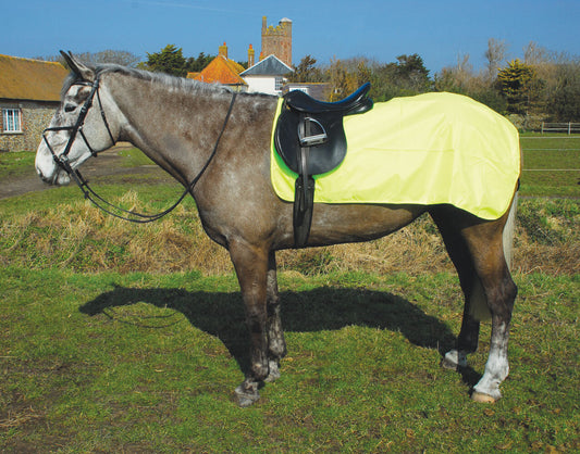 Hi-Vis Waterproof Exercise Sheet