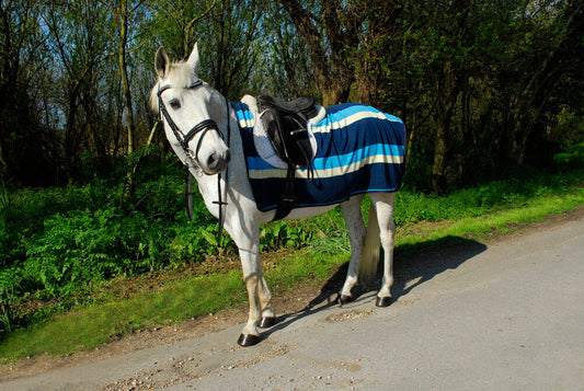 3/4 Ride-On Fleece Exercise Sheet - Blue & Beige