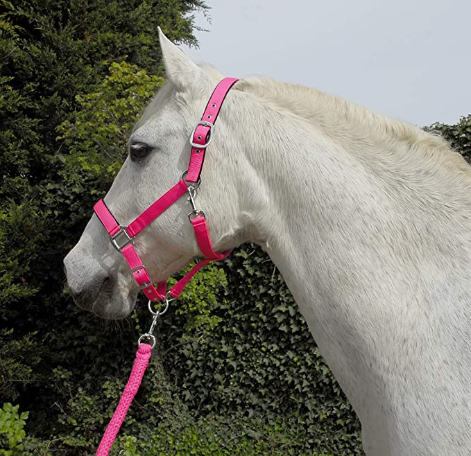 Rhinegold Carnival Headcollar & Lead Rope Set
