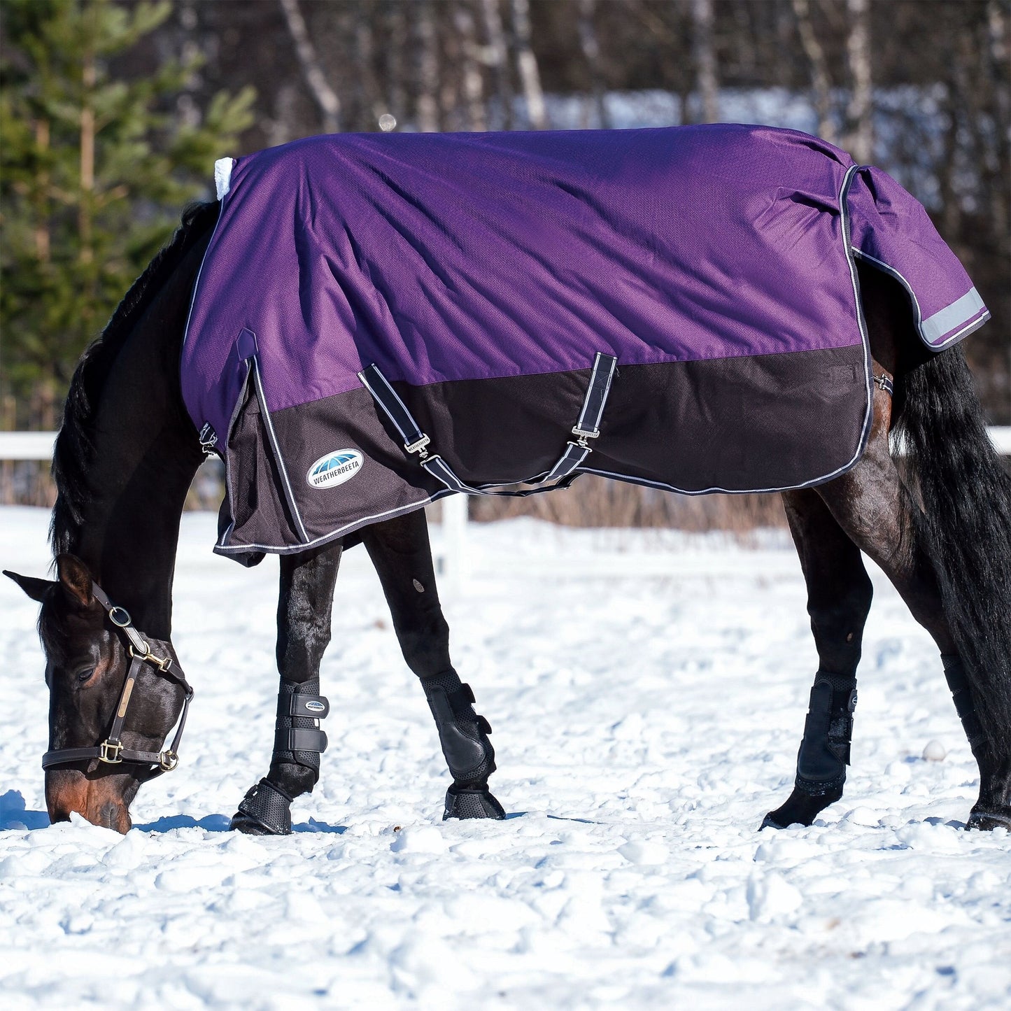 Weatherbeeta ComfiTec Plus Dynamic Standard Neck Medium (220g)
