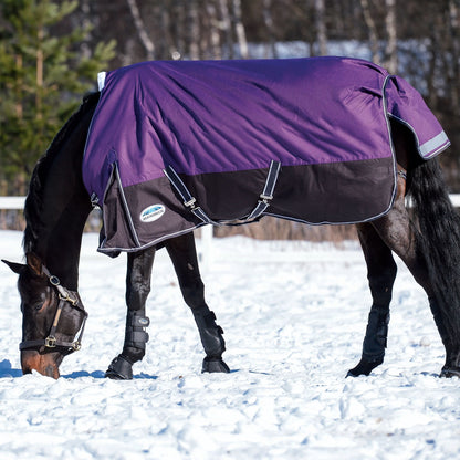 Weatherbeeta ComfiTec Plus Dynamic Standard Neck Medium (220g)