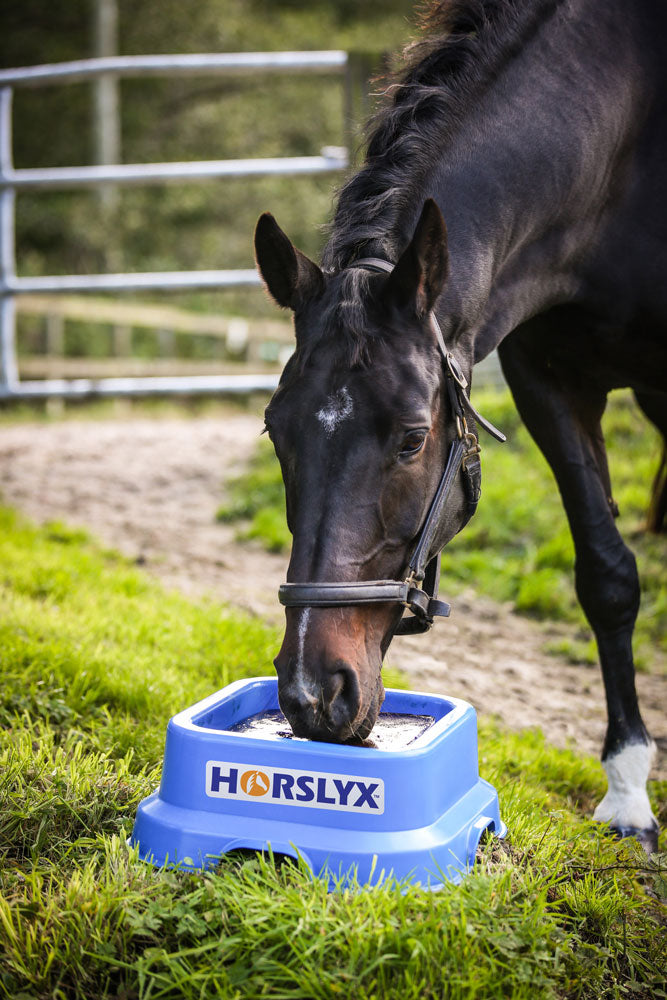 Horslyx 15kg Holder