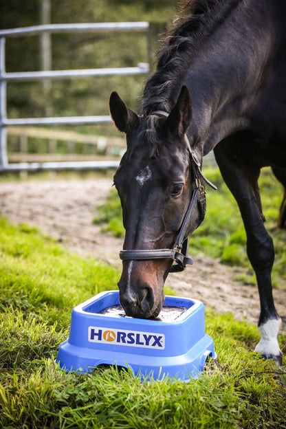 Horslyx 15kg Holder
