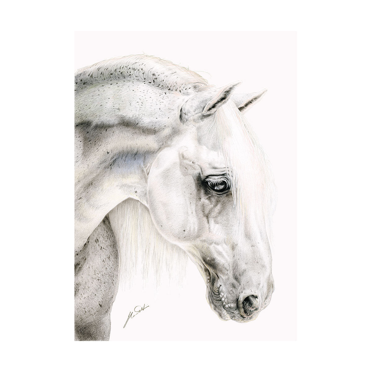 A4 Deckled Edge Art Prints