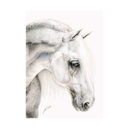 A4 Deckled Edge Art Prints