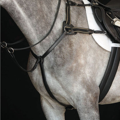 Collegiate 5 Point Breastplate IV