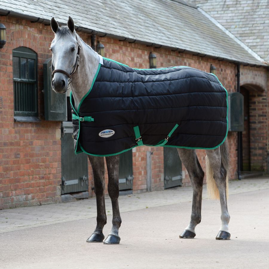 Weatherbeeta Comfitec 210D Channel Quilt Standard Neck Medium (250g)