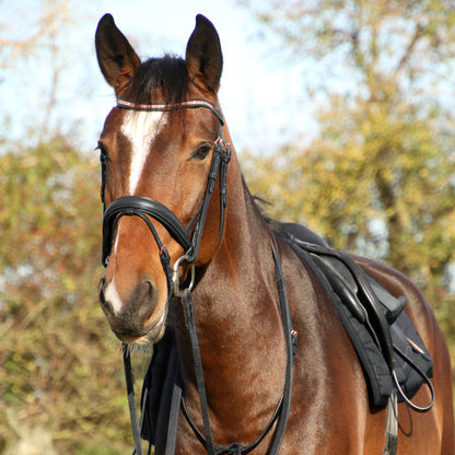 Hy Equestrian Rosciana Rose Gold Bridle