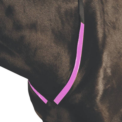 Roma Reflective Breastplate