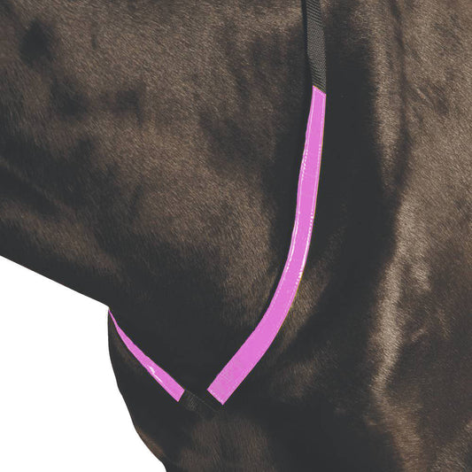 Roma Reflective Breastplate